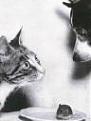Click image for larger version

Name:	catdok.jpg
Views:	122
Size:	2.5 KB
ID:	257823