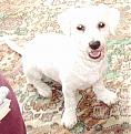 Click image for larger version

Name:	bobbyafter2.jpg
Views:	102
Size:	72.7 KB
ID:	257879
