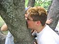 Click image for larger version

Name:	27treekisser.jpg
Views:	144
Size:	27.7 KB
ID:	257991
