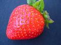 Click image for larger version

Name:	strawb.jpg
Views:	112
Size:	3.5 KB
ID:	258089