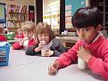 Click image for larger version

Name:	milkbreak.jpg
Views:	128
Size:	34.3 KB
ID:	260770