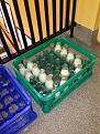 Click image for larger version

Name:	milkbottles.jpg
Views:	117
Size:	96.4 KB
ID:	260793
