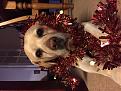 Click image for larger version

Name:	IMG_0987.jpg
Views:	134
Size:	93.2 KB
ID:	261217