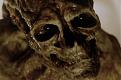 Click image for larger version

Name:	alien-resurrection.jpg
Views:	176
Size:	16.0 KB
ID:	262574