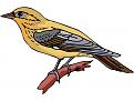 Click image for larger version

Name:	1bird102-med.jpeg
Views:	185
Size:	27.6 KB
ID:	262611