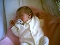 Click image for larger version

Name:	baby 9.JPG
Views:	187
Size:	33.9 KB
ID:	263960