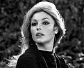 Click image for larger version

Name:	Gorgeous Sharon Tate.jpg
Views:	142
Size:	95.4 KB
ID:	264608