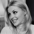 Click image for larger version

Name:	beautiful sharon tate.jpg
Views:	133
Size:	17.3 KB
ID:	264609